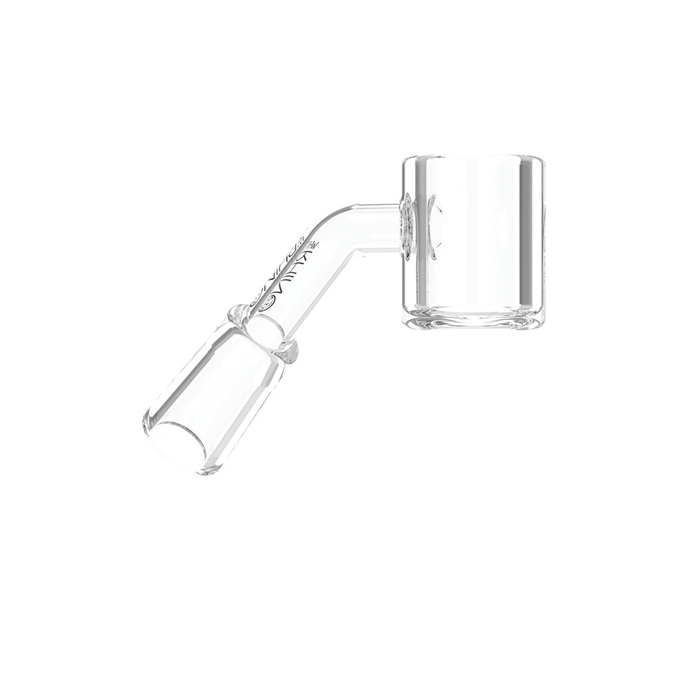10MM 45° FEMALE QUARTZ BANGER 4MM - 5 COUNT DISPLAY